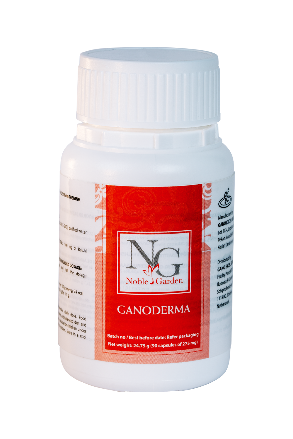 Ganoderma